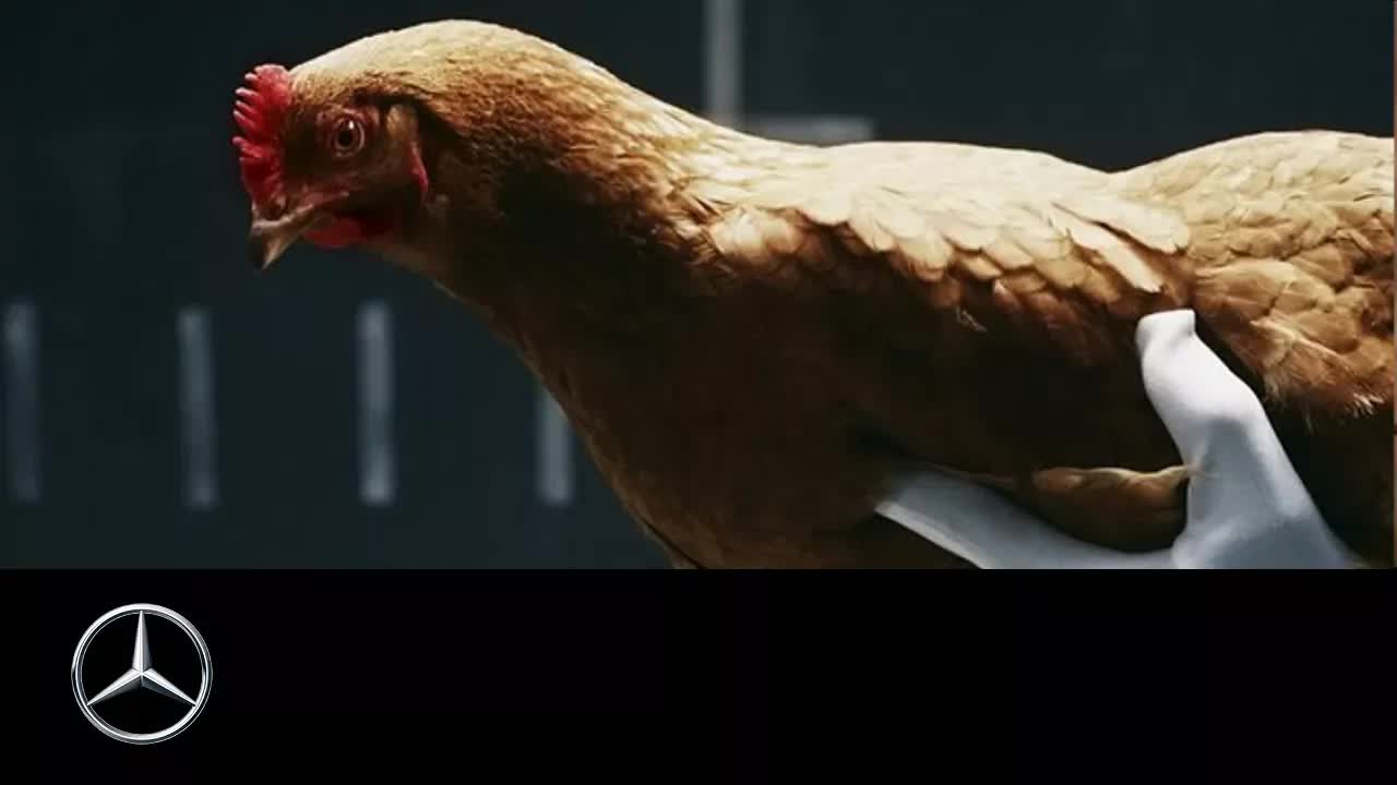 Mercedes-Benz Chicken Ad: Visual Metaphor Case Study