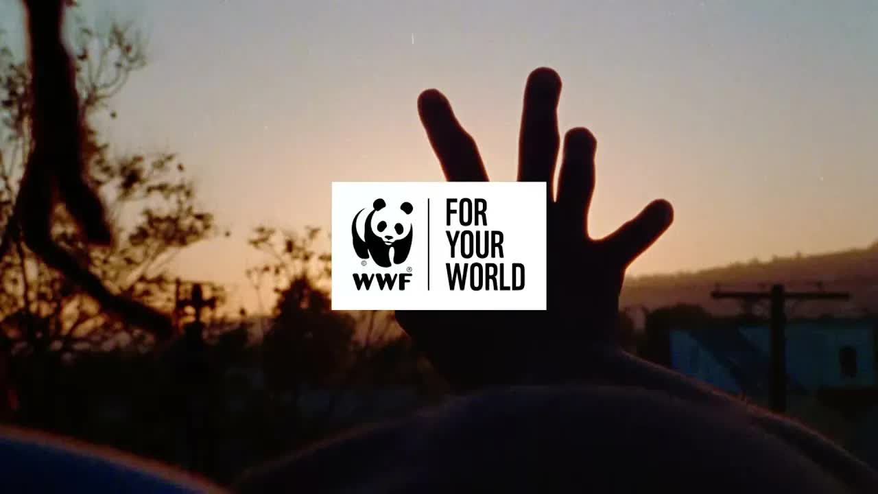 WWF UK Brand Film Breakdown: 30s Montage Strategy