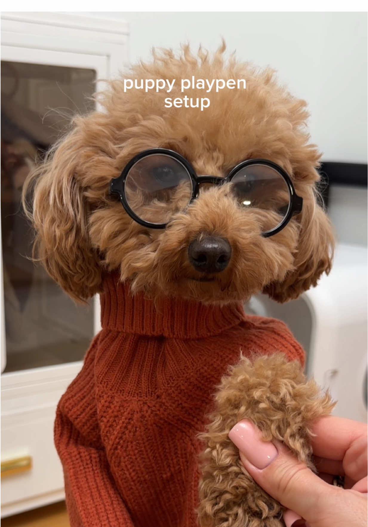 Setting up a cozy little playpen for my pup 🐾 I always want