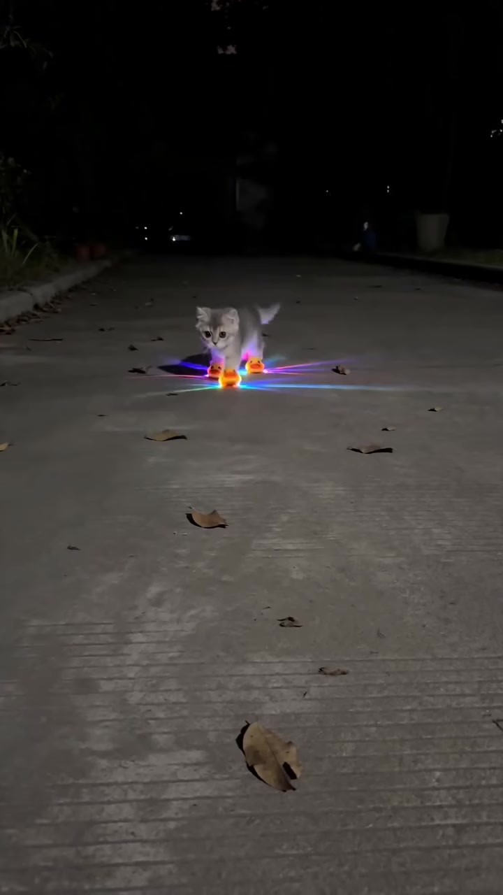 小猫发光鸭鞋LED
