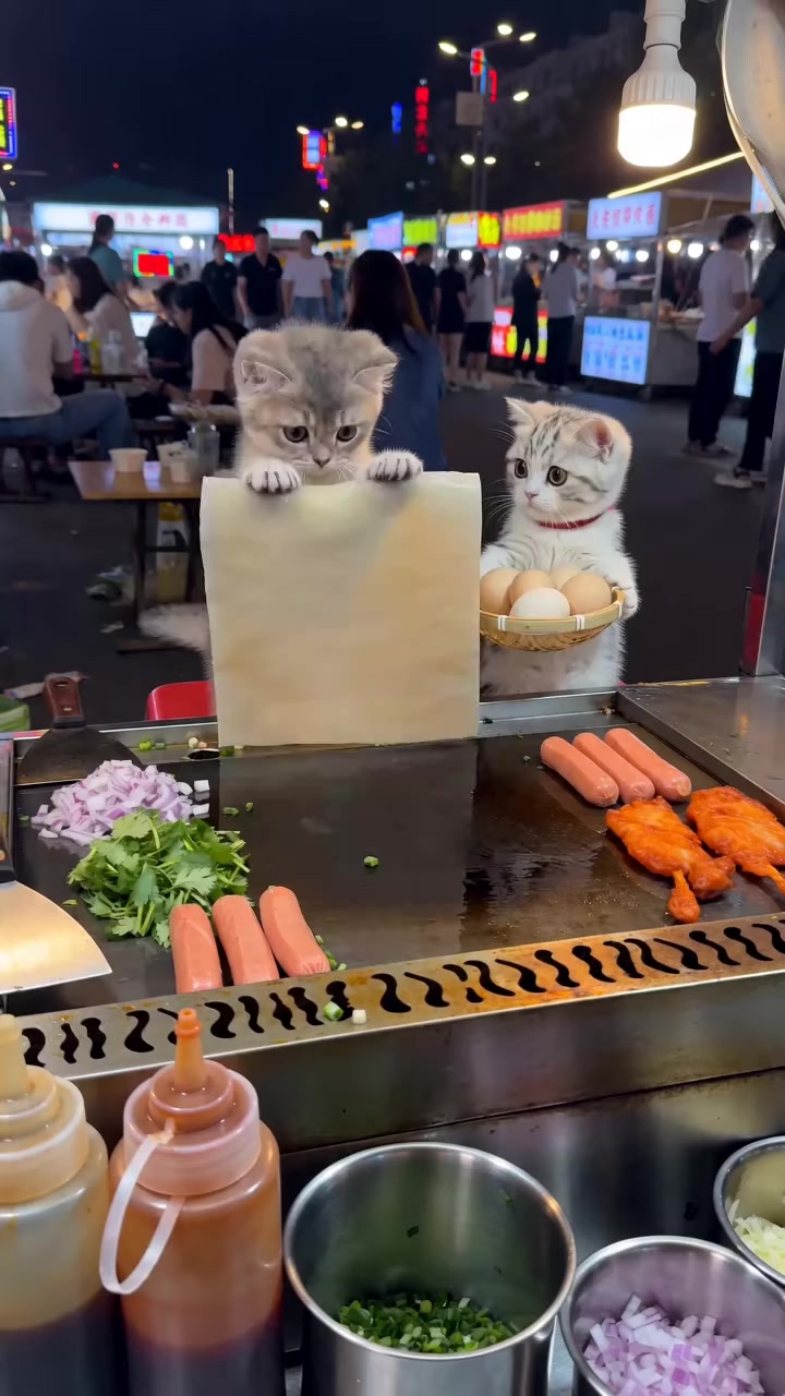 猫咪烤冷面摊