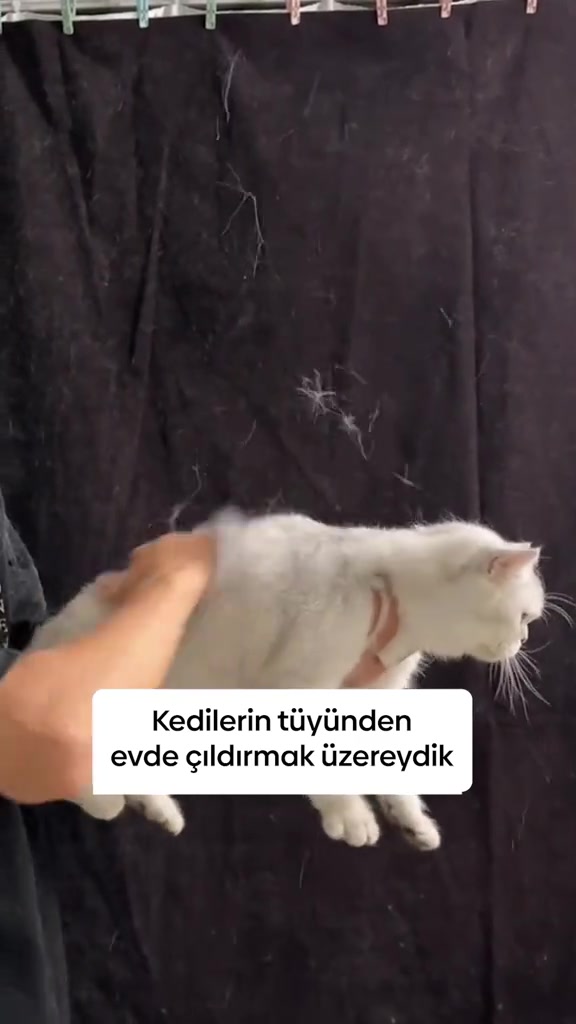 Tüy dökülmesi sorununa karşı güçlü bir çözüm: Hipet Tüy Dökülme Engelleyici Malt!Hem bağışıklığı güçlendirir hem de kıl köklerini besleyerek yoğun dökülmeleri azaltır,sağlıklı tüylerin oluşumunu da de