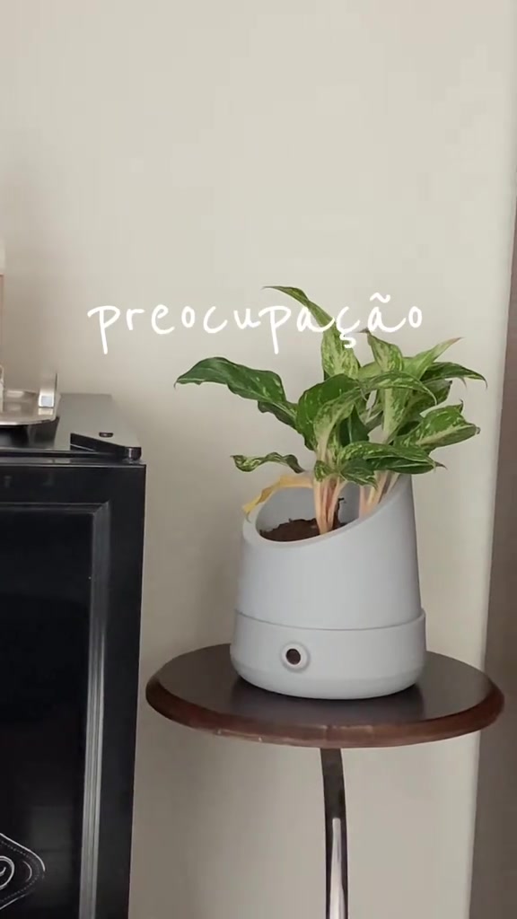 Você não vai acreditar no que este vaso faz pelas suas plantas 🌱 #vasosdeplantas  #dicasdeplantas #plantas