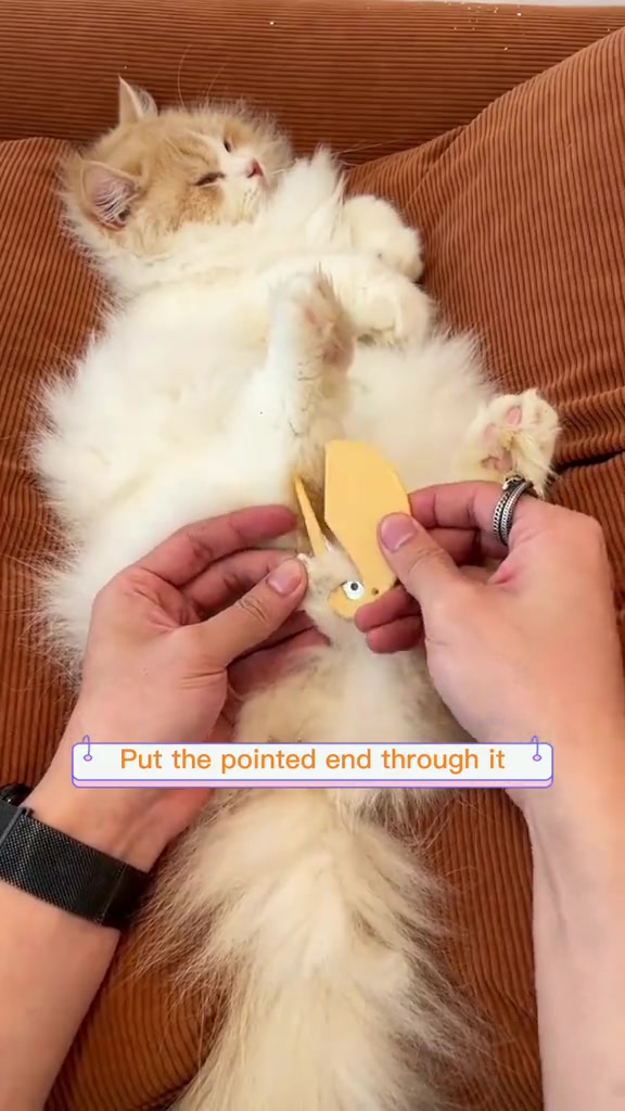 Stop ✋ using scissors on your cat’s tangled fur—it can hurt them!! 🐱 Try our latest Purrfect Detangler for an easy fix: ✅ Safely removes knots ✅ Compact and handy ✅ Pain-free, no pulling of fur