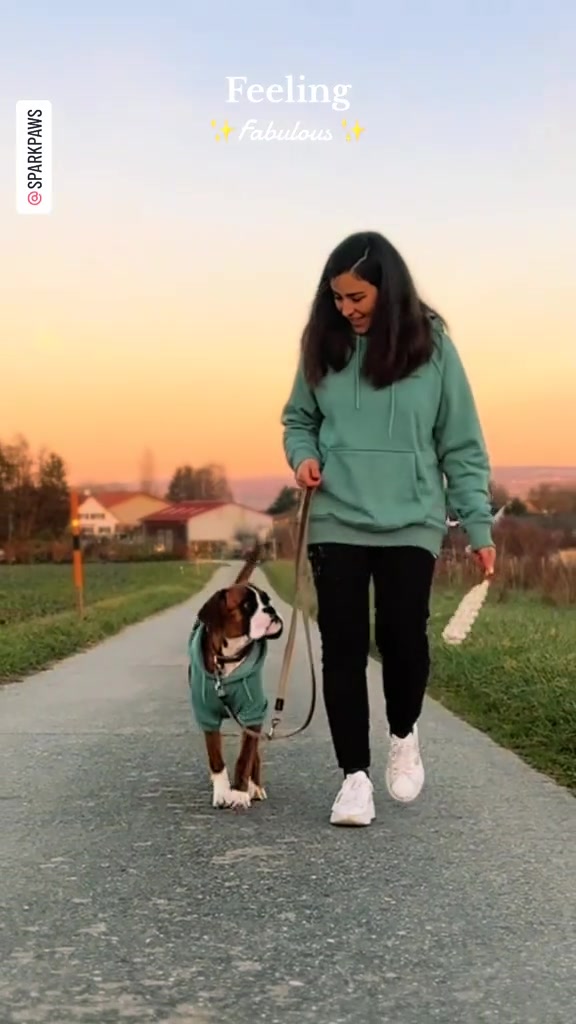 Perfect solution for the cold weather - Matching hoodies! 😘😍💕#sparkpaws #sparkpawsofficial @uma_the_boxer