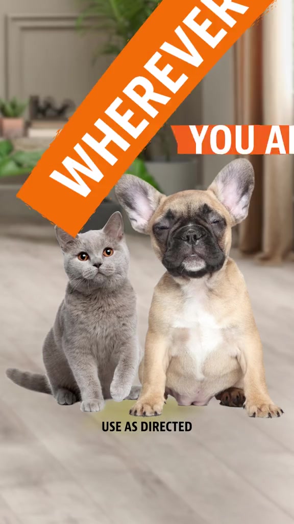 Take Angry Orange on the go! #angryorange #travelwithdog #petodoreliminator #odorremoval #odoreliminator