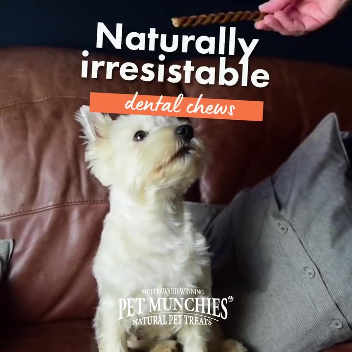 Natural snacks dogs go wild for 🐾 High protein and full of flavour. Get 10% off your first order with BUYTREATS.