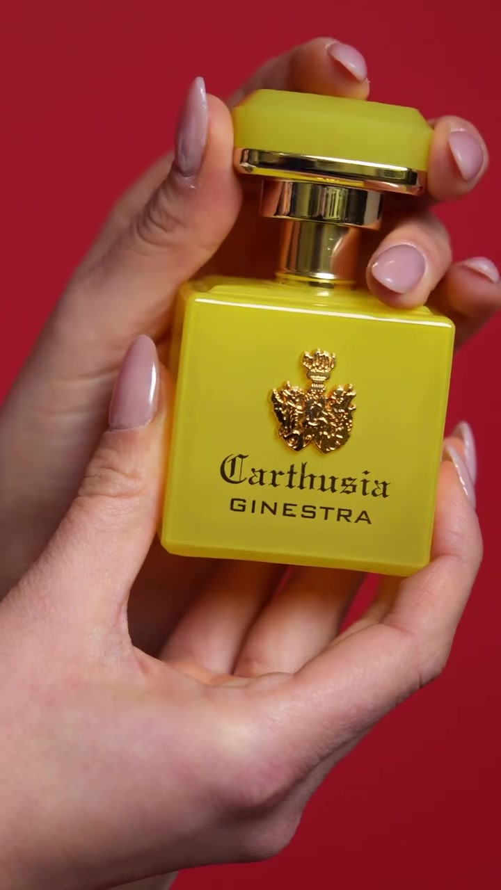 Elegance is a decision.
And Intenso di Ginestra is for those who choose to stand apart.

A luminous yet structured floral composition, where broom flower is reinterpreted in a modern, refined and long