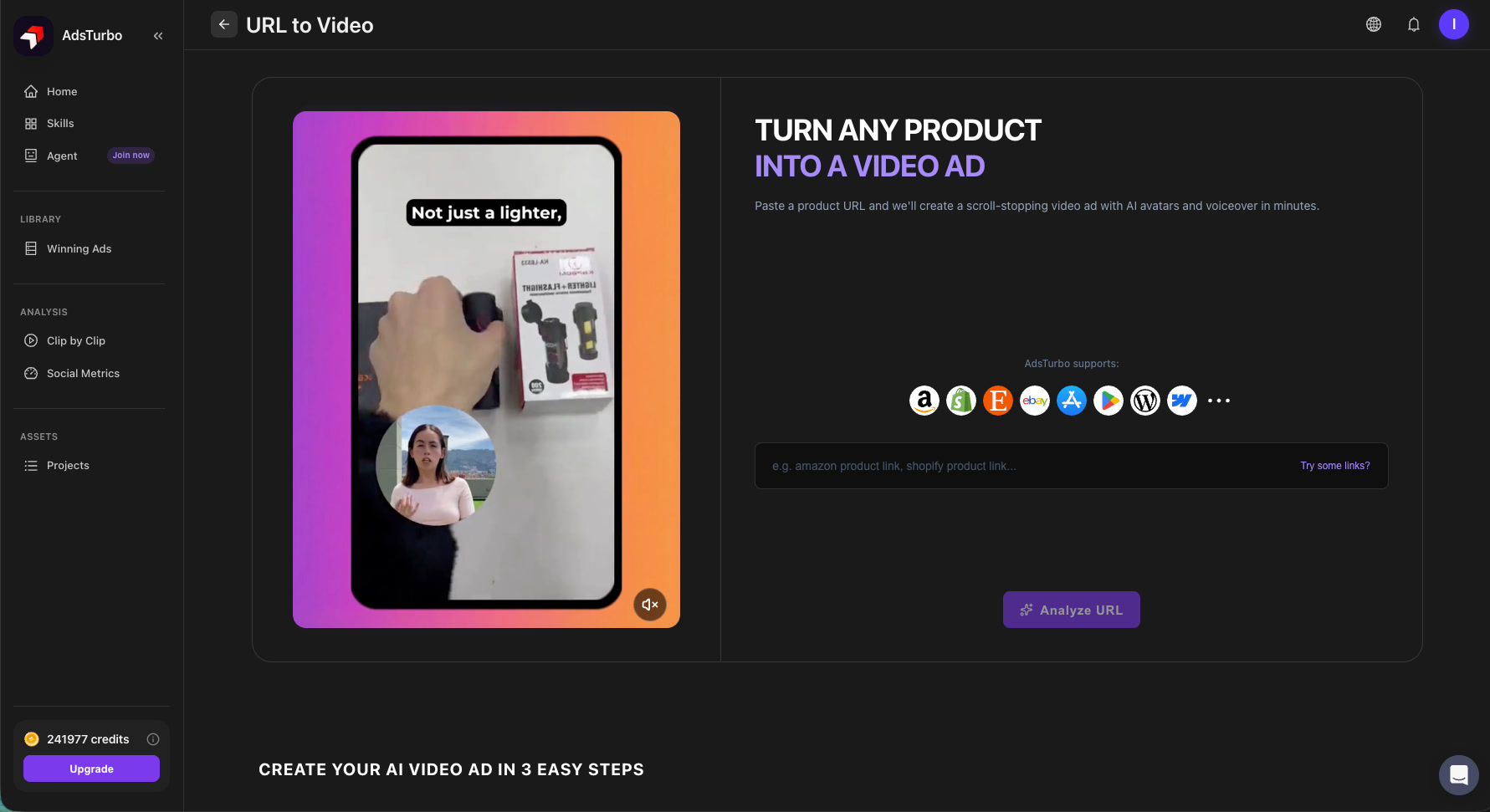URL to Video Interface